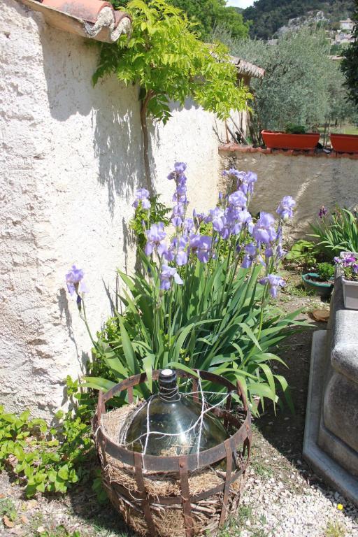 Amour Provence Сегюре Екстер'єр фото